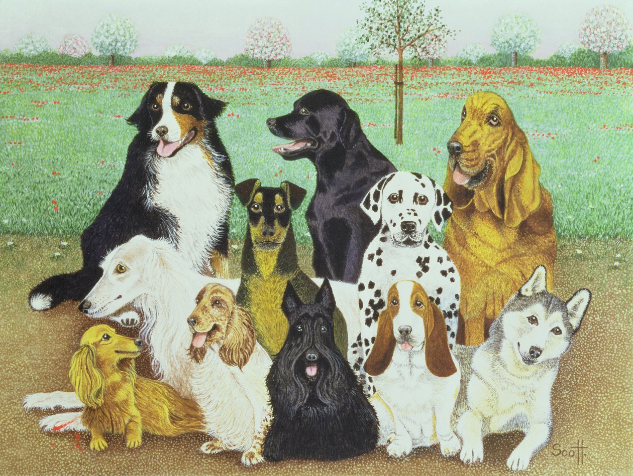 Dog Watch by Pat Scott