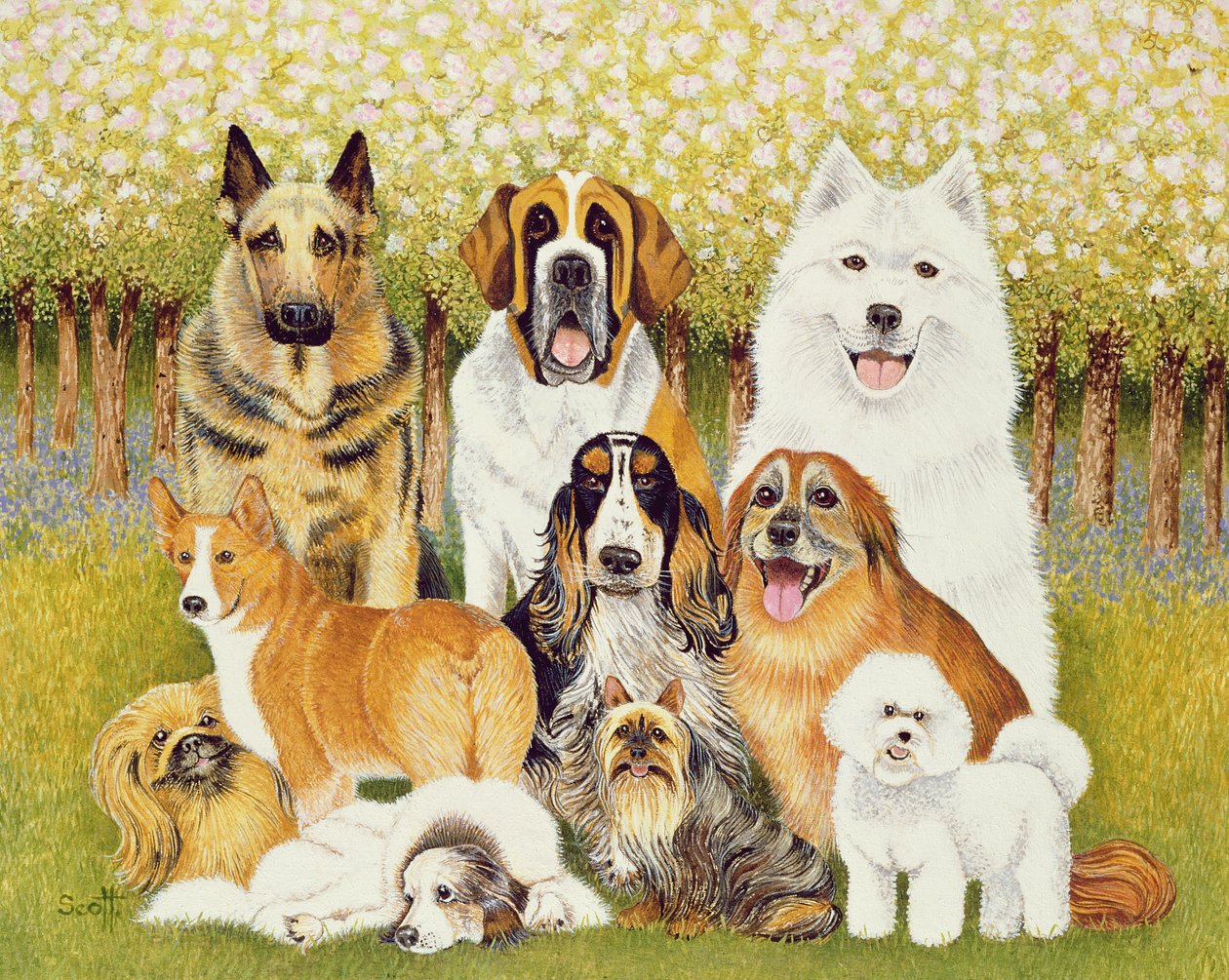 Dogs in May by Pat Scott
