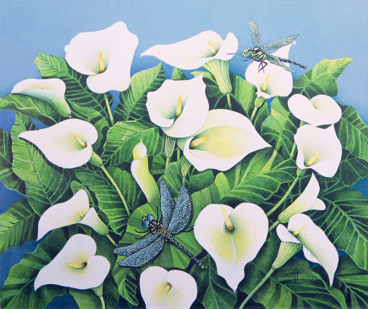 Dragon Flies by Pat Scott