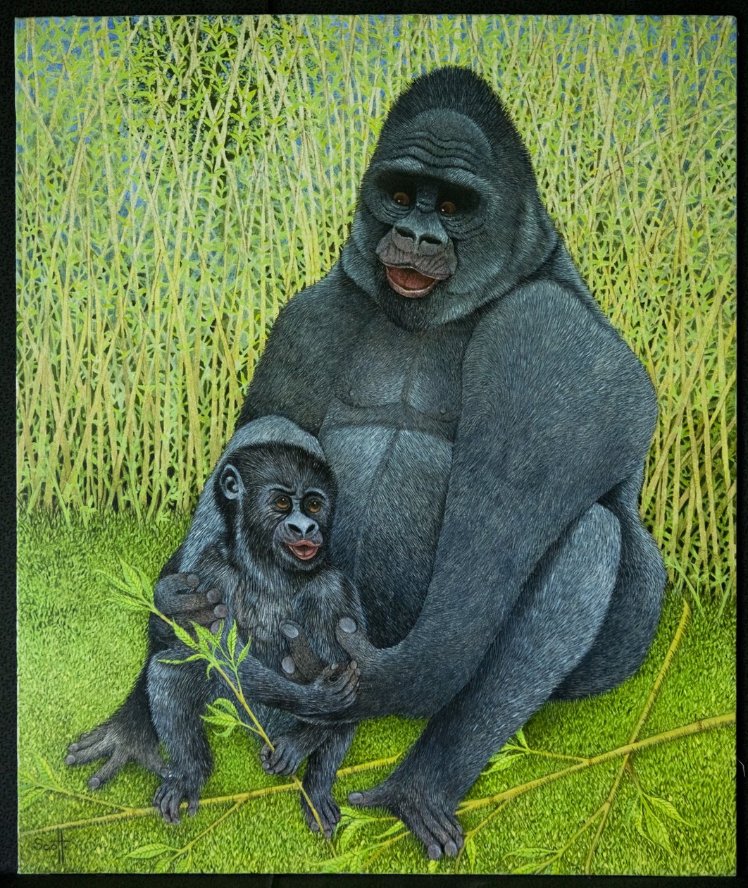Gorillas by Pat Scott