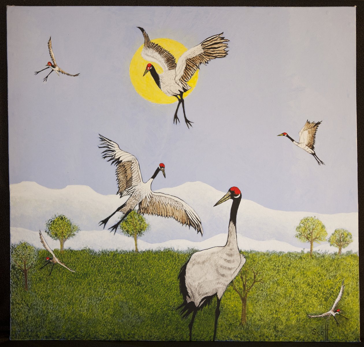 Heralds of Spring, 2016 by Pat Scott