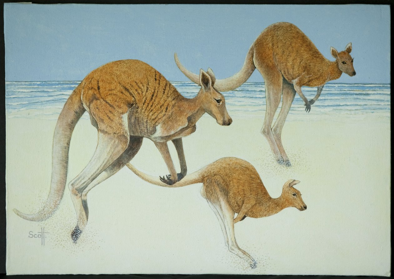 Leaping Ahead by Pat Scott