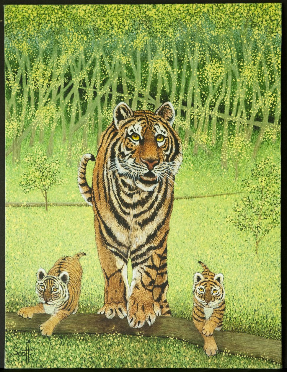 Live and Learn by Pat Scott
