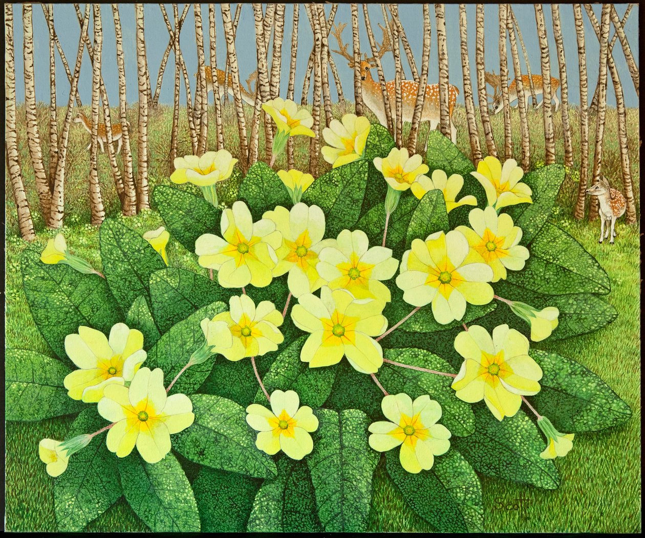 Looking Hopeful, 2011 by Pat Scott