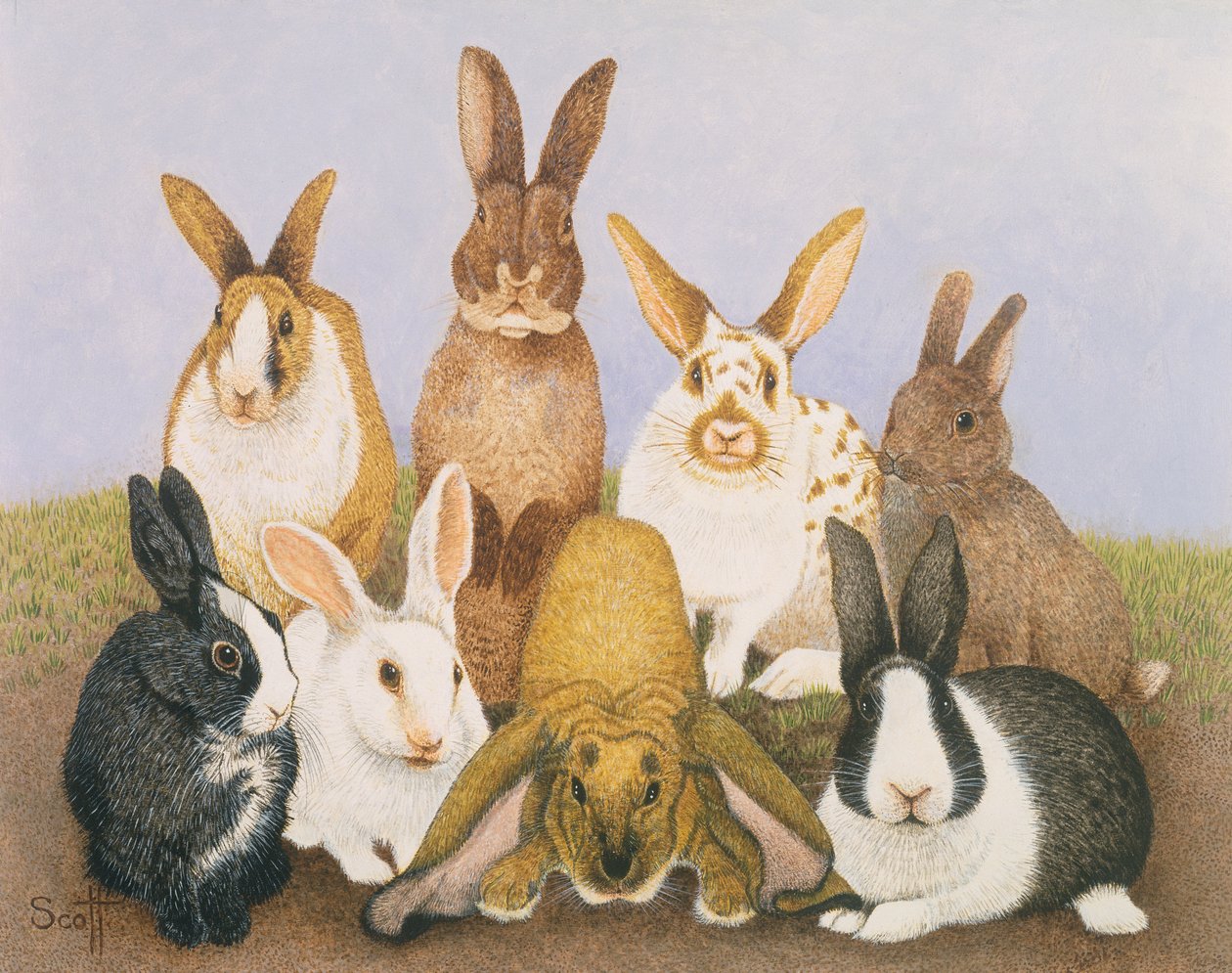 Lucky Rabbits by Pat Scott