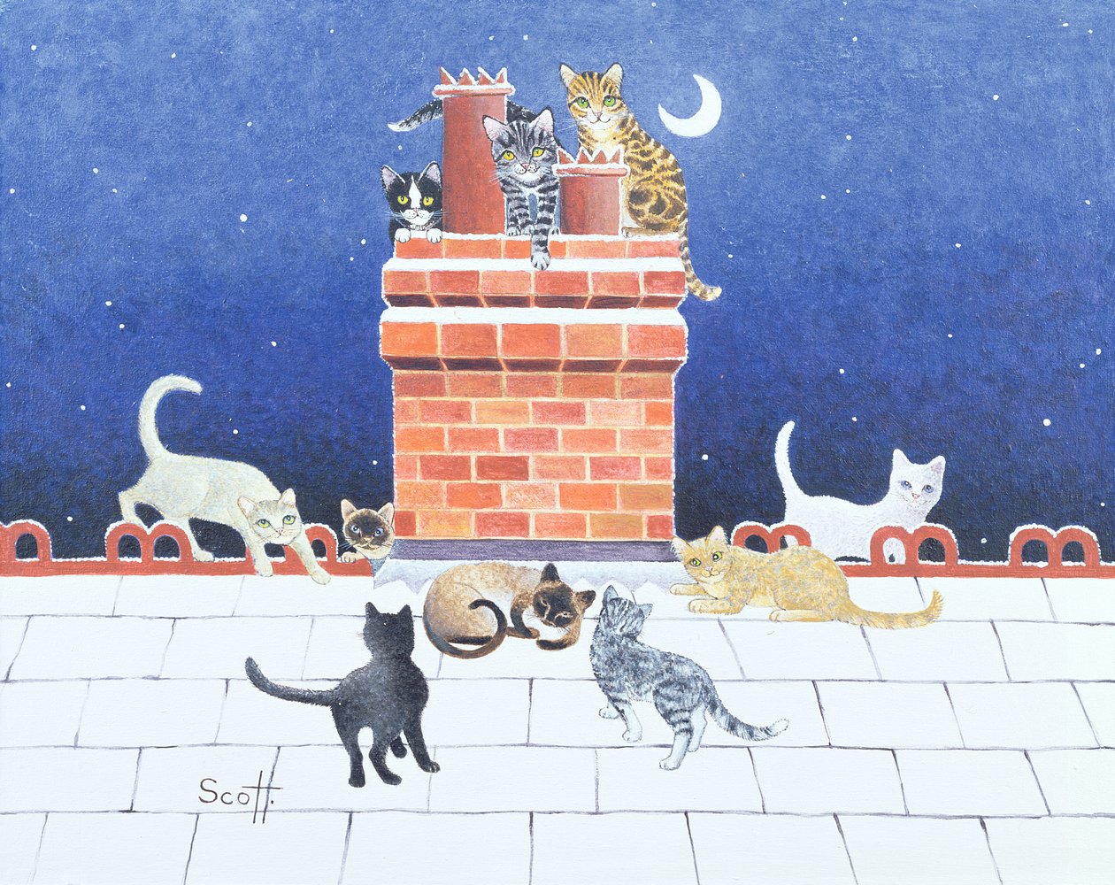 Midnight Madness by Pat Scott