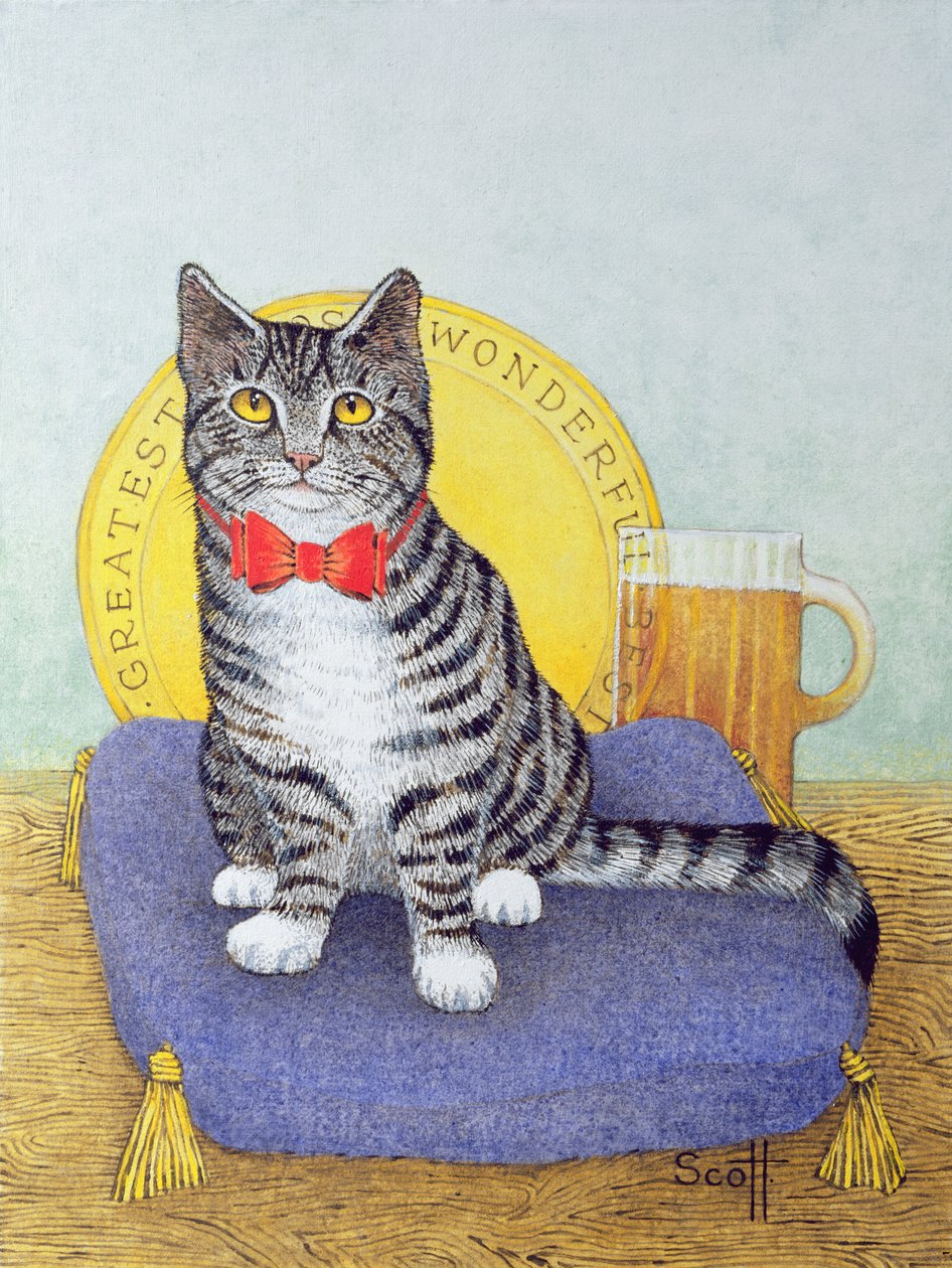 Mr Wonderful by Pat Scott