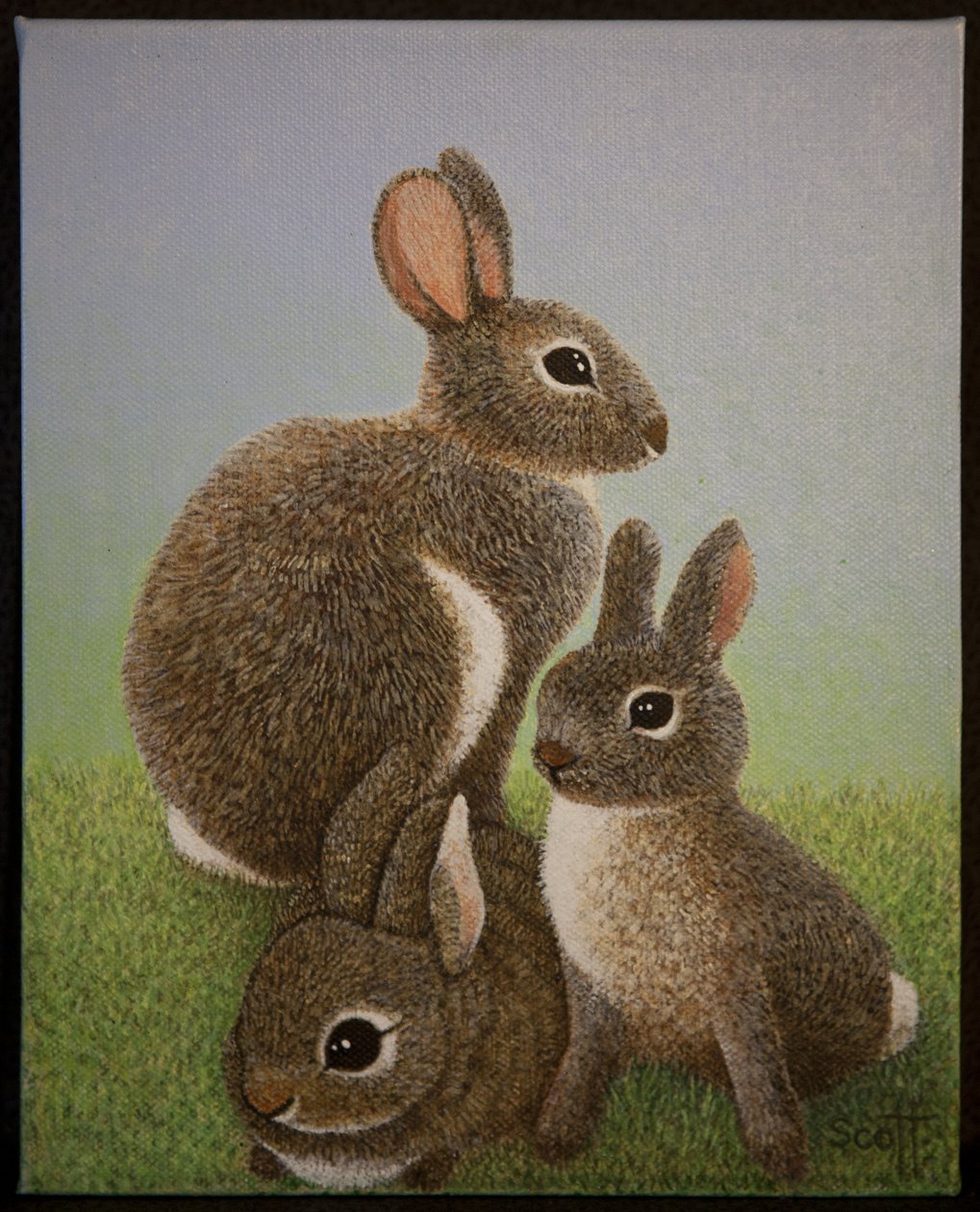 Rabbit Family by Pat Scott
