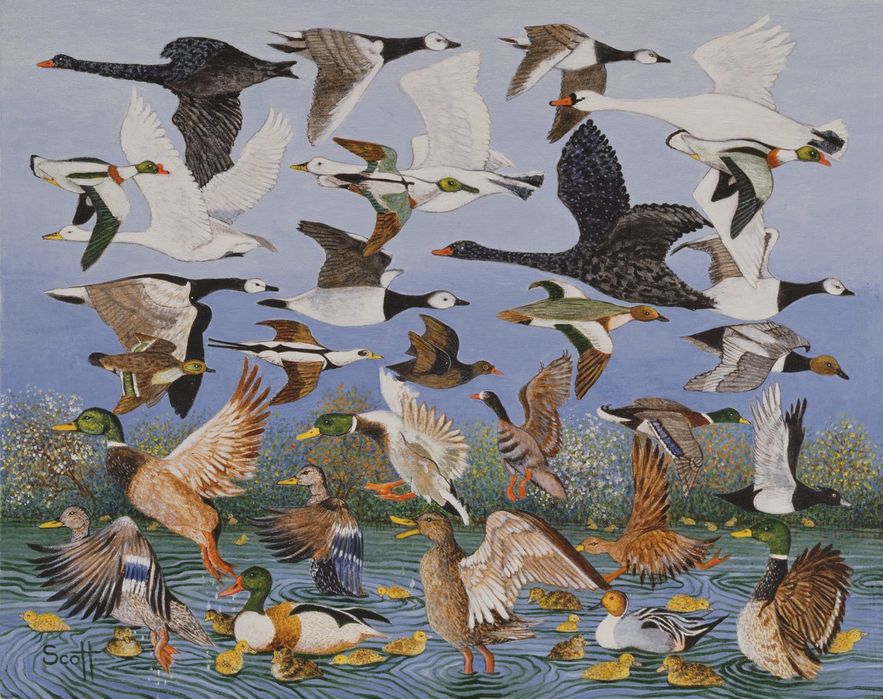 Taking Off by Pat Scott
