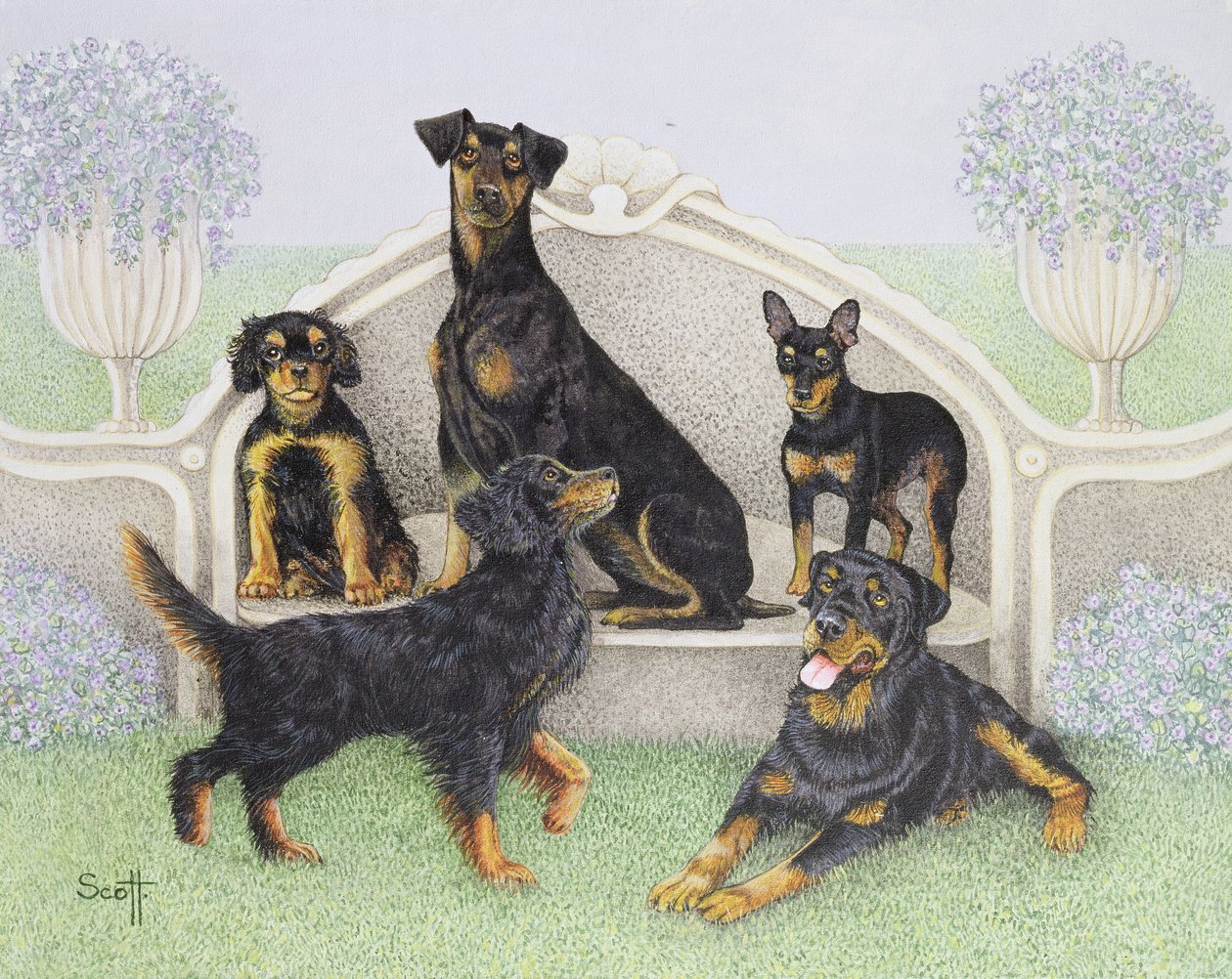 Tea on the Terrace by Pat Scott