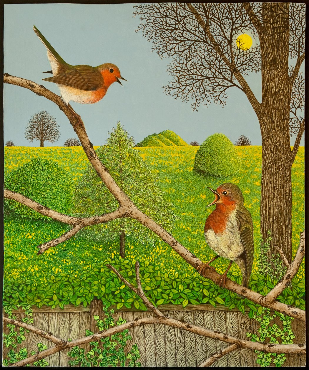 Territorial Rights by Pat Scott
