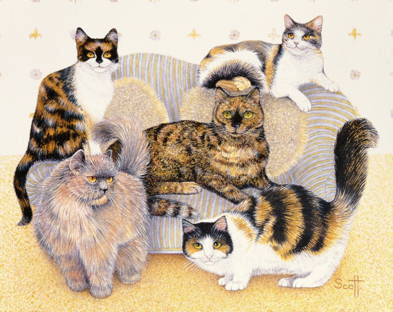 Tortoiseshell Ladies by Pat Scott