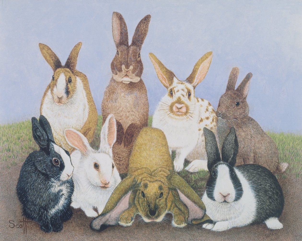 We are All Ears by Pat Scott