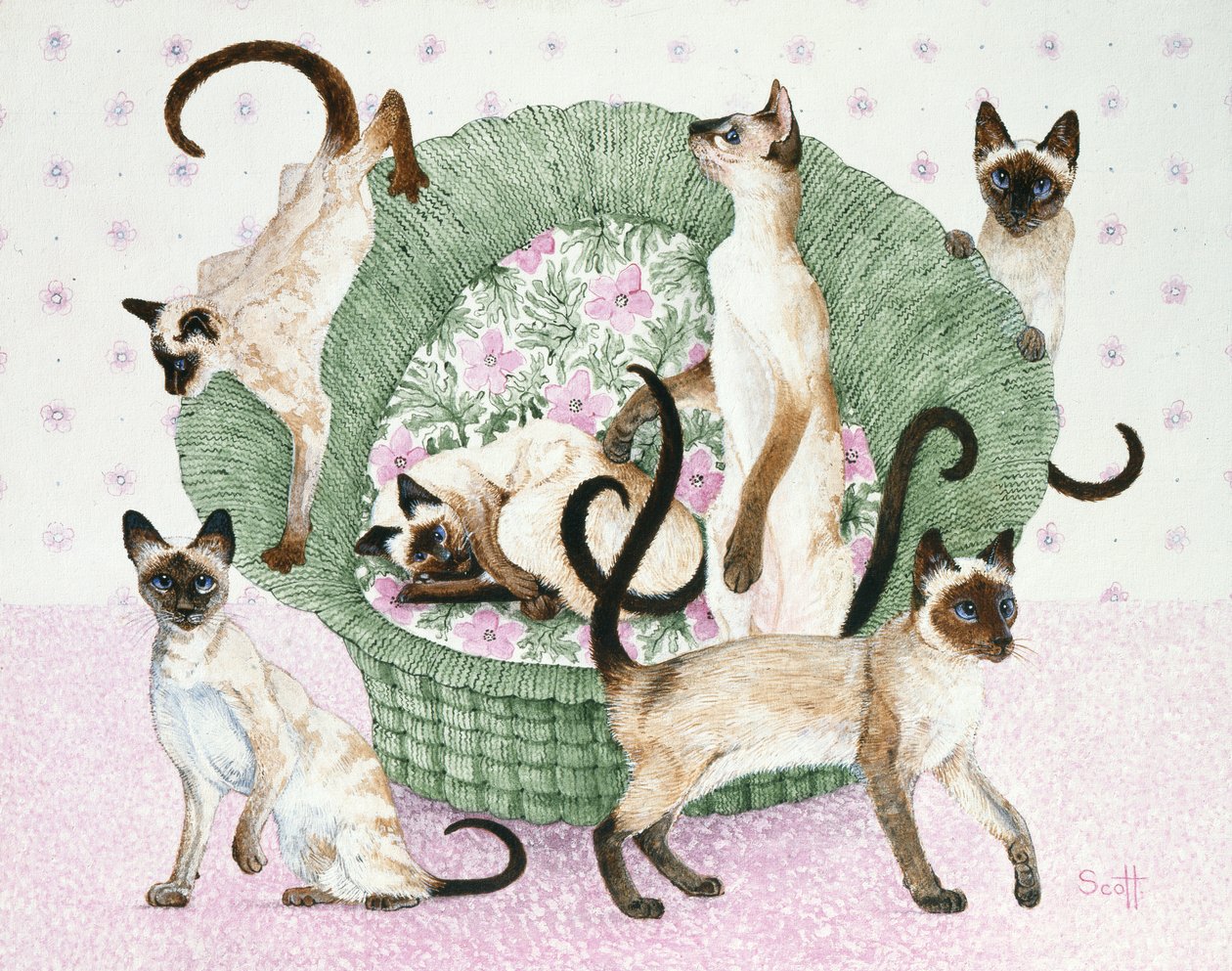 We are Siamese if you please by Pat Scott
