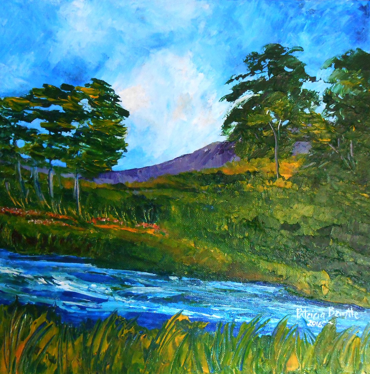 Stream Near Marmelade by Patricia Brintle