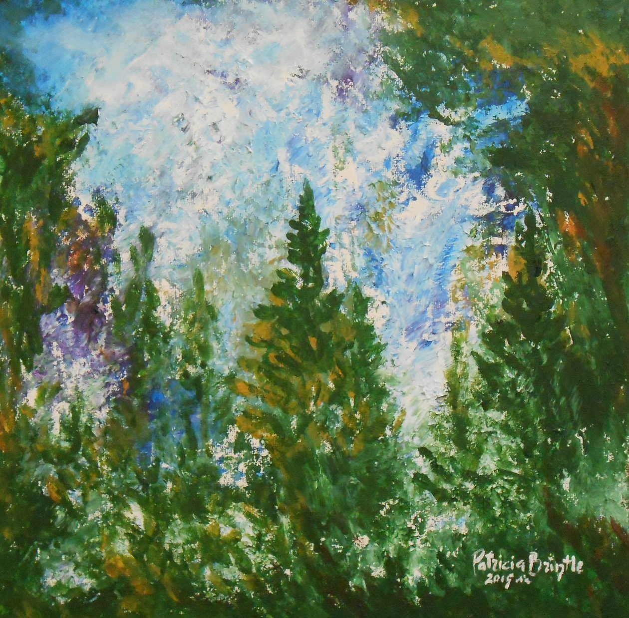Winter Afternoon by Patricia Brintle