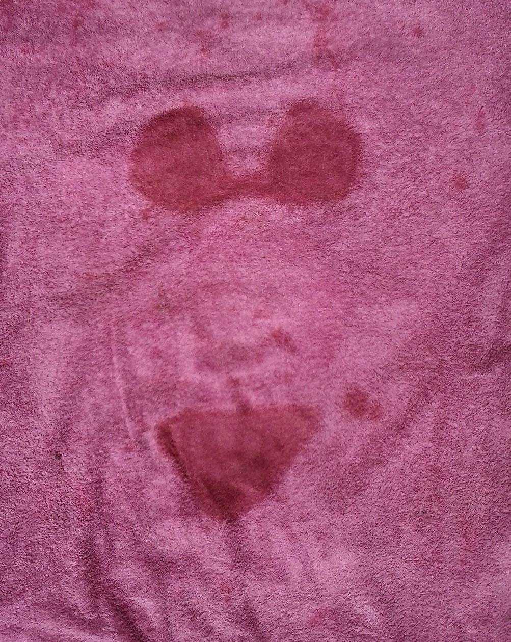 Sea by Patrizia La Porta