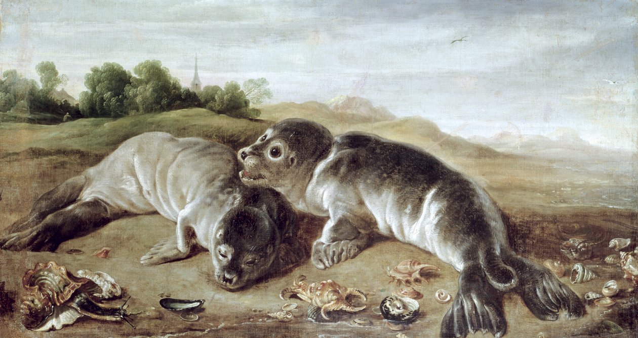Two Young Seals on the Shore by Paul De Vos