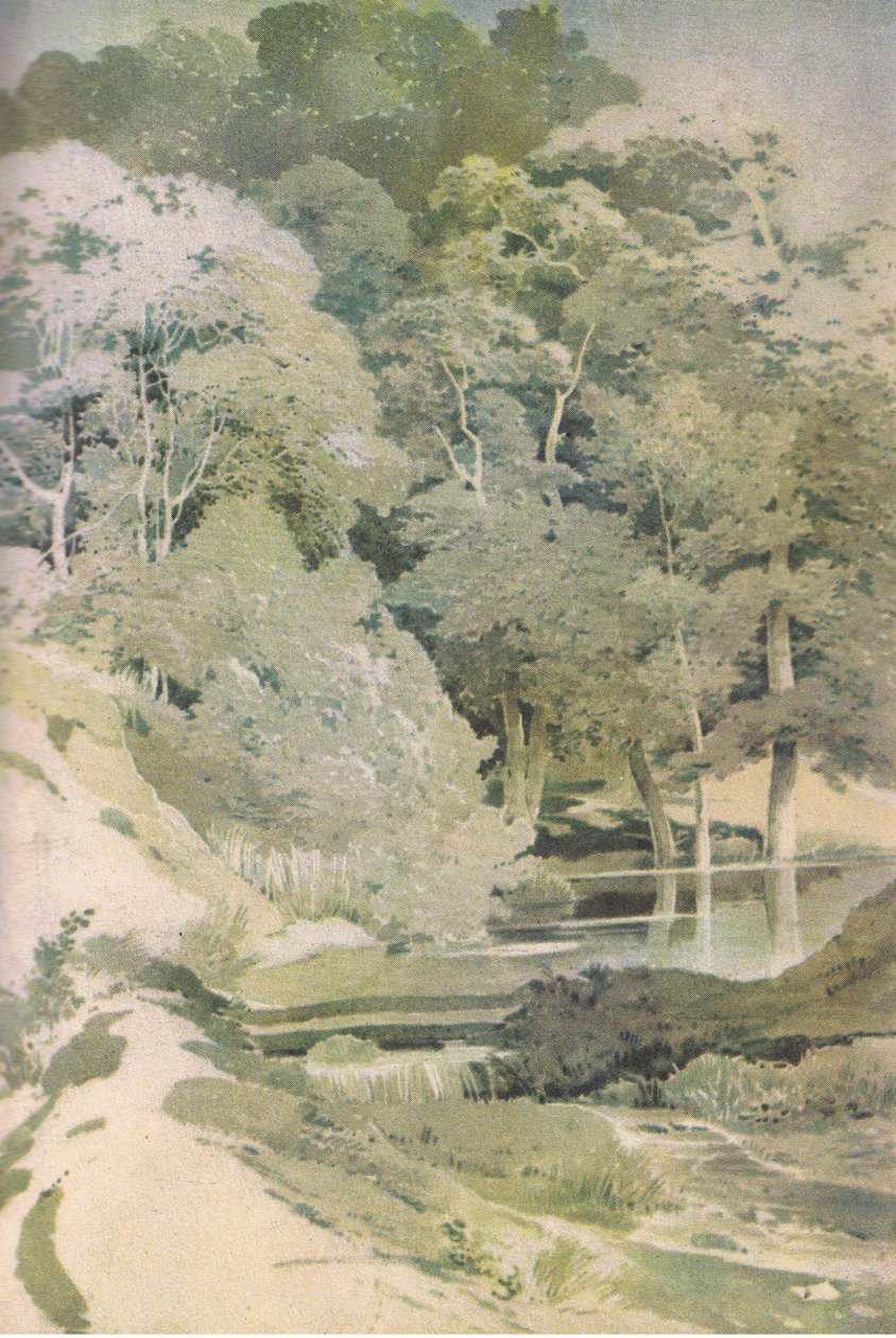 Ancient Beech in Windsor Forest, Nature in Britain by Paul Sandby