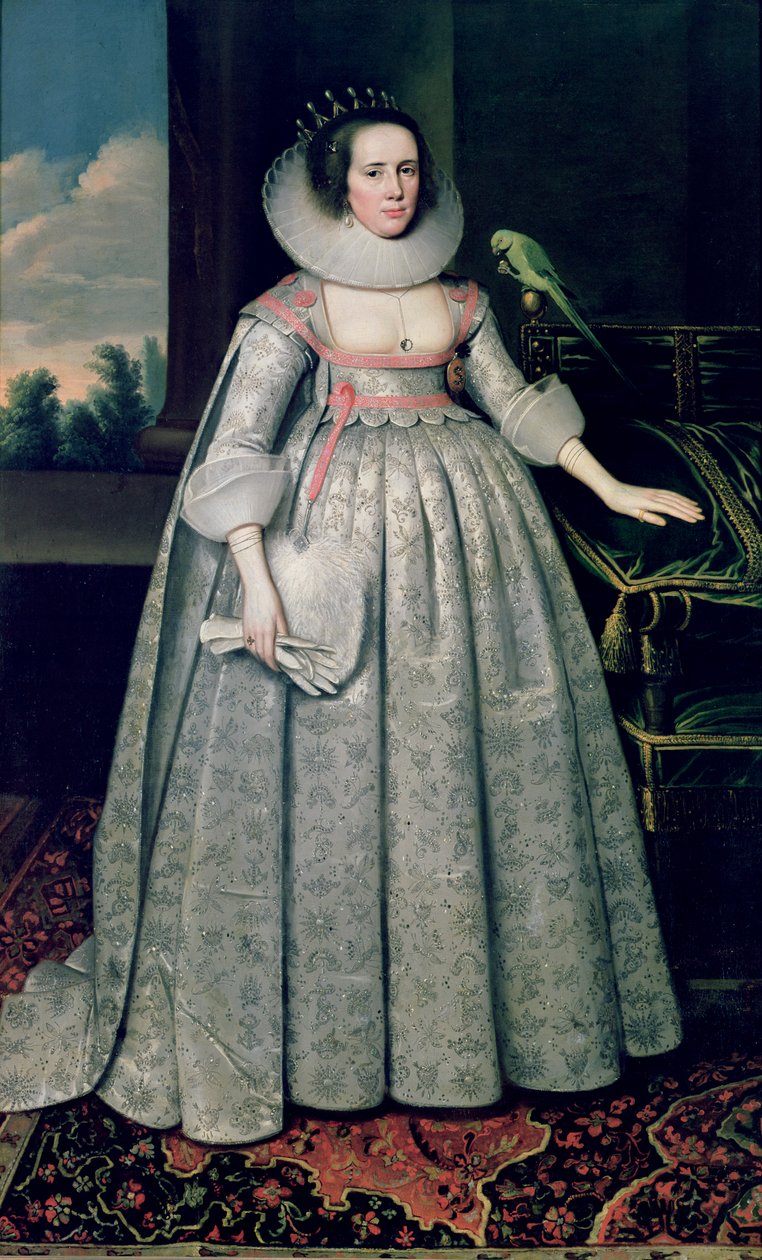 The Countess of Sussex by Paul van Somer