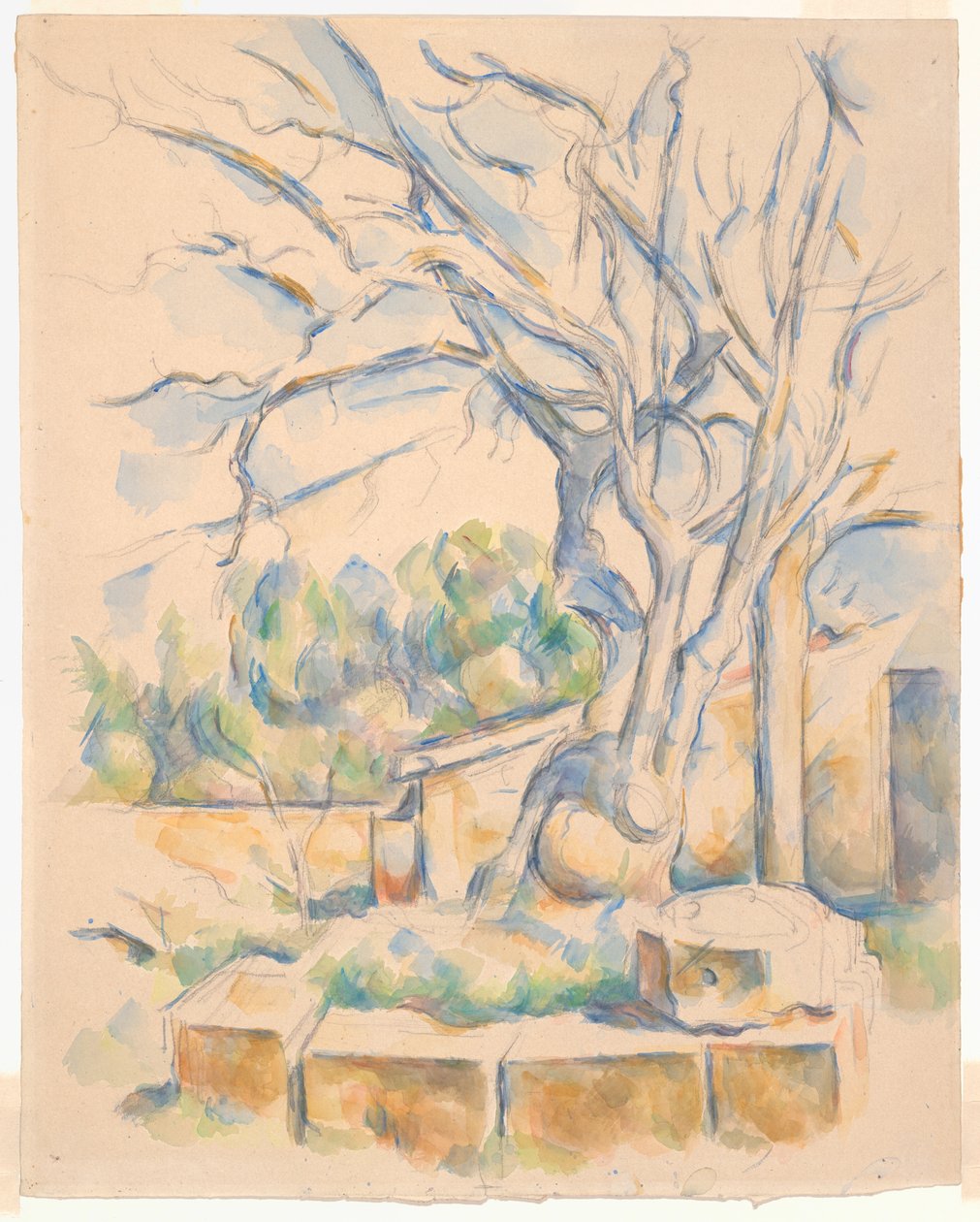 Pistachio Tree at Château Noir by Paul Cézanne