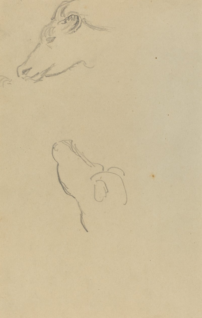 Head of a Cow by Paul Gauguin