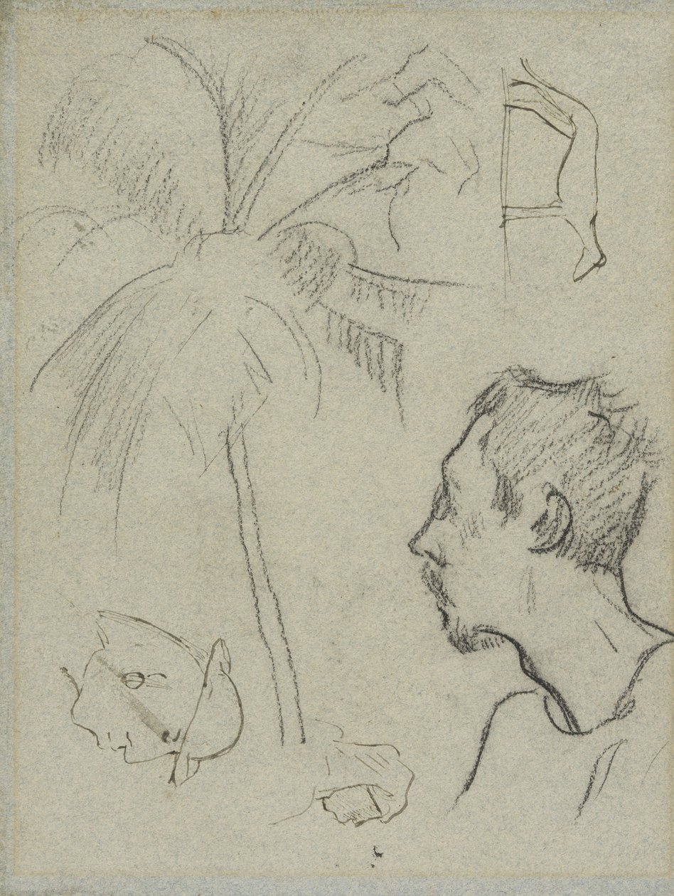 Profile of Charles Laval with Palm Tree and Other Sketches by Paul Gauguin