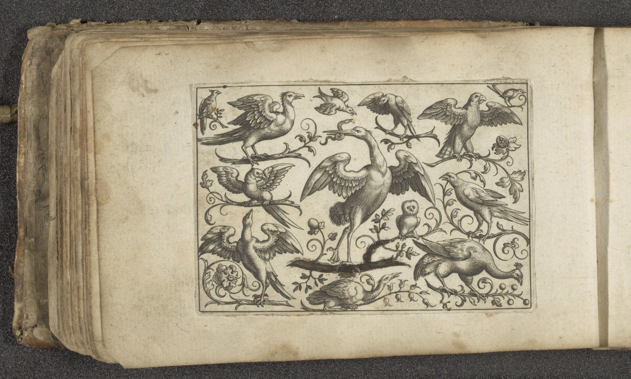 Crane and Twelve Other Birds by Paul Göttich