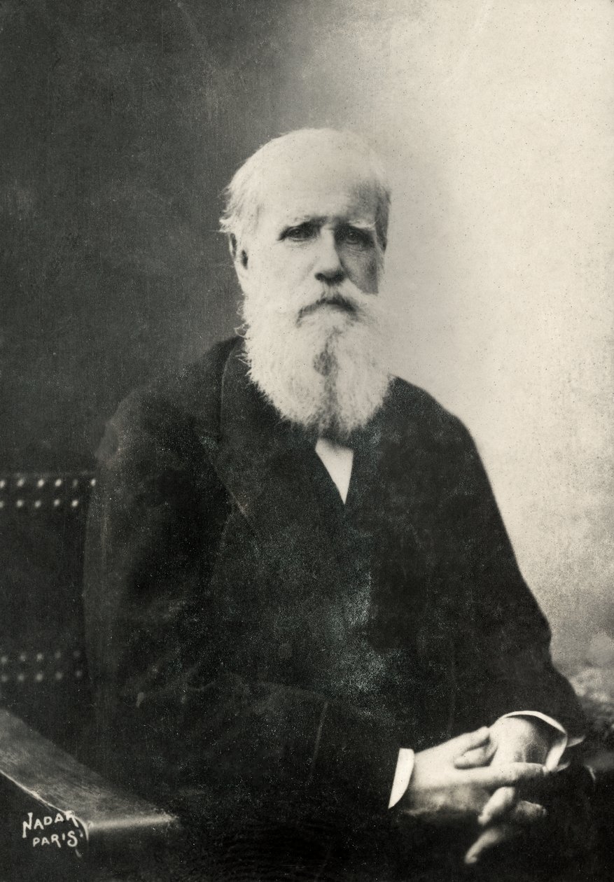 Portrait of Dom Pedro, Emperor of Brazil by Paul Nadar