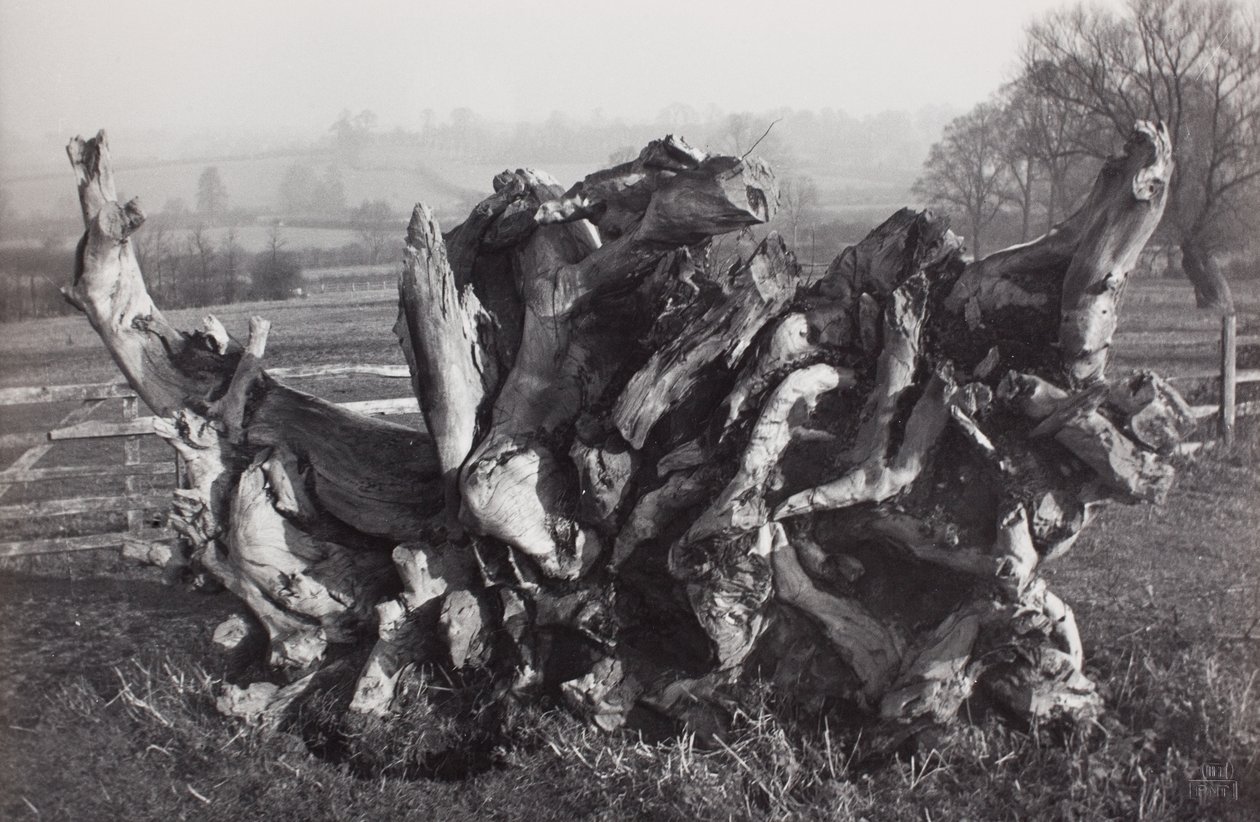 Laocoon, Carswall