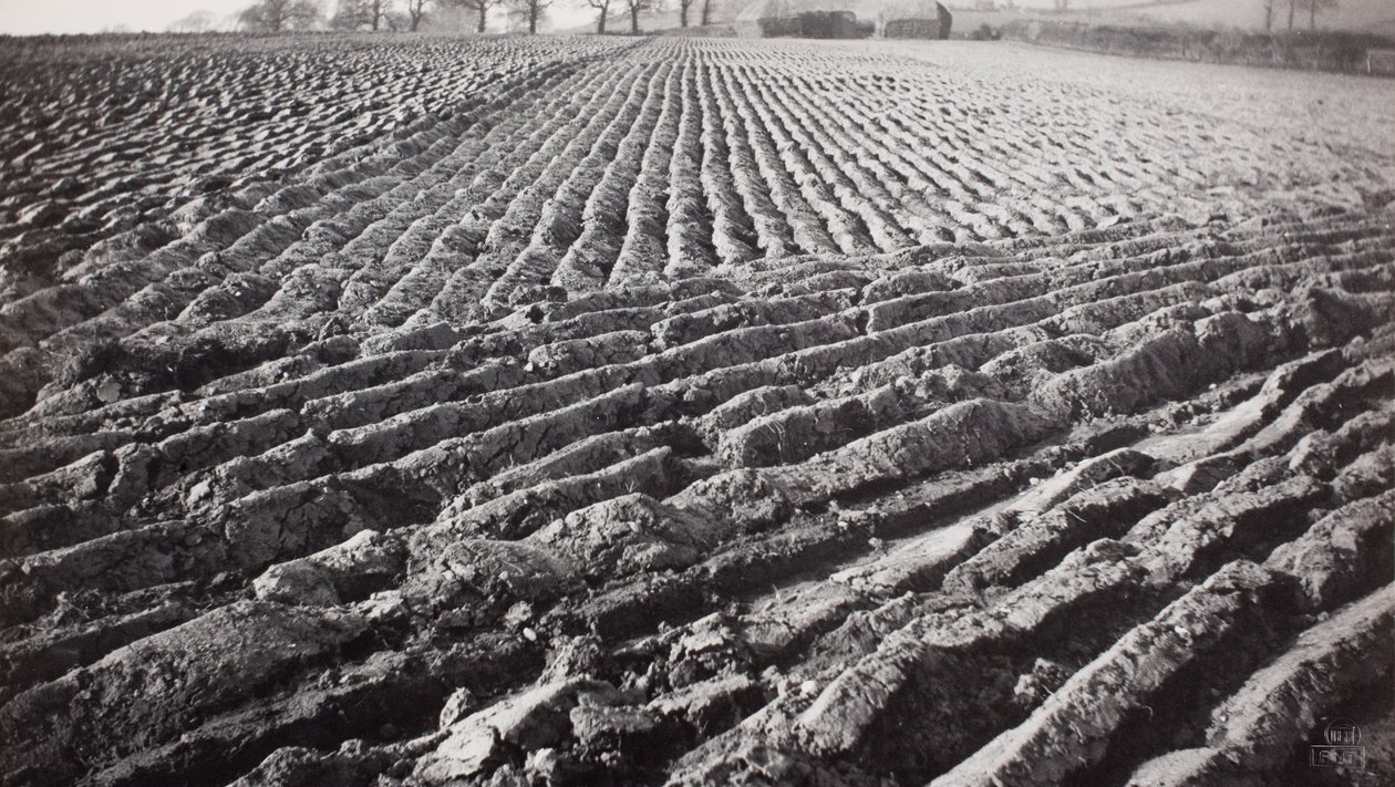 Ploughed Field and Haystacks by Paul Nash