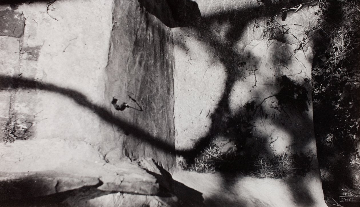 Step Edge; below Nash’s garden at New House, Rye, Sussex by Paul Nash