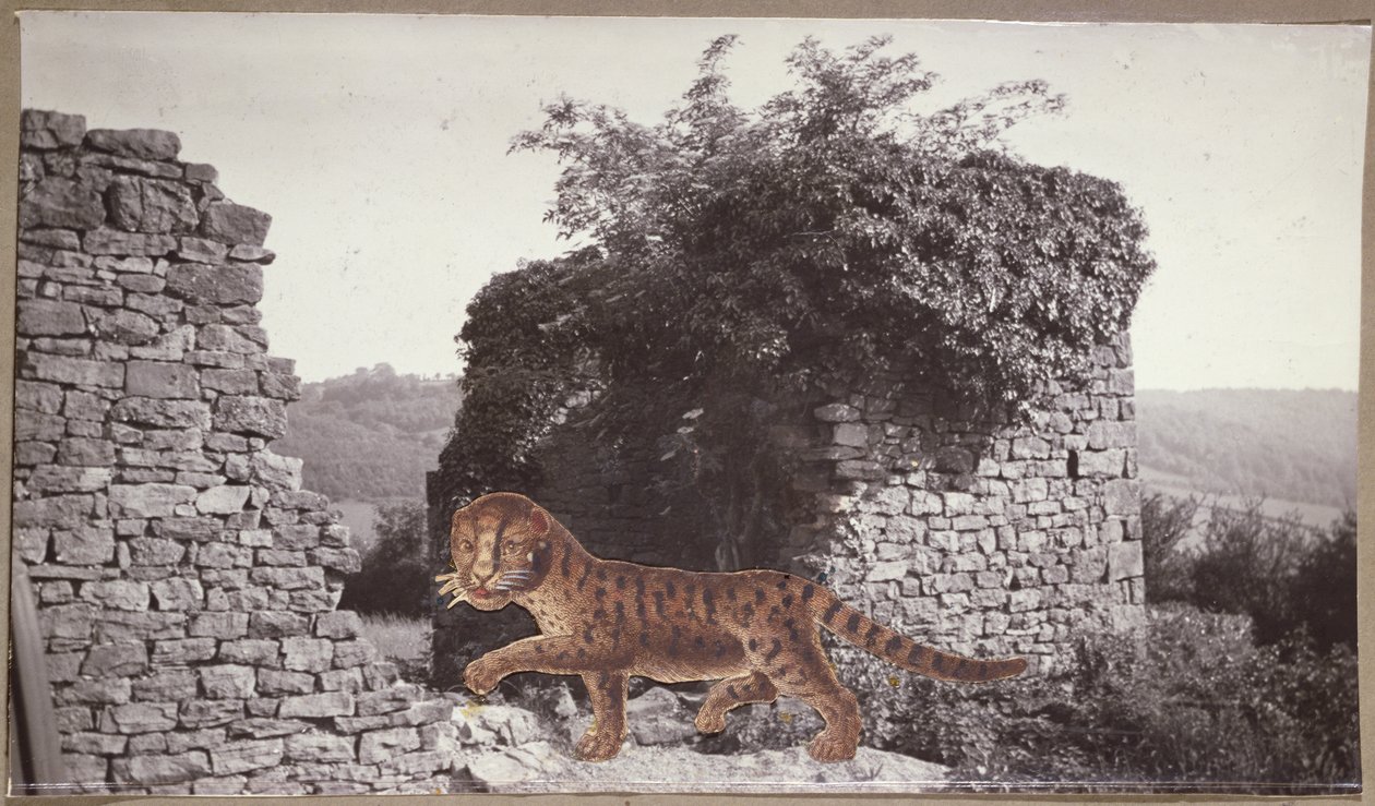 Tiger, Tiger by Paul Nash