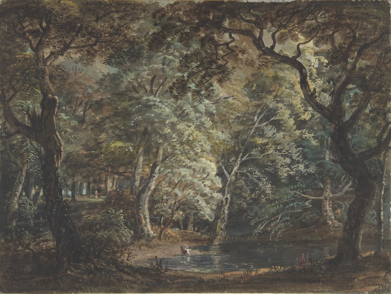 Windsor Great Park, 1790-99 by Paul Sandby