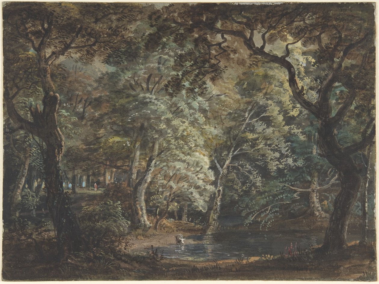 Windsor Great Park, c.1790-99 by Paul Sandby