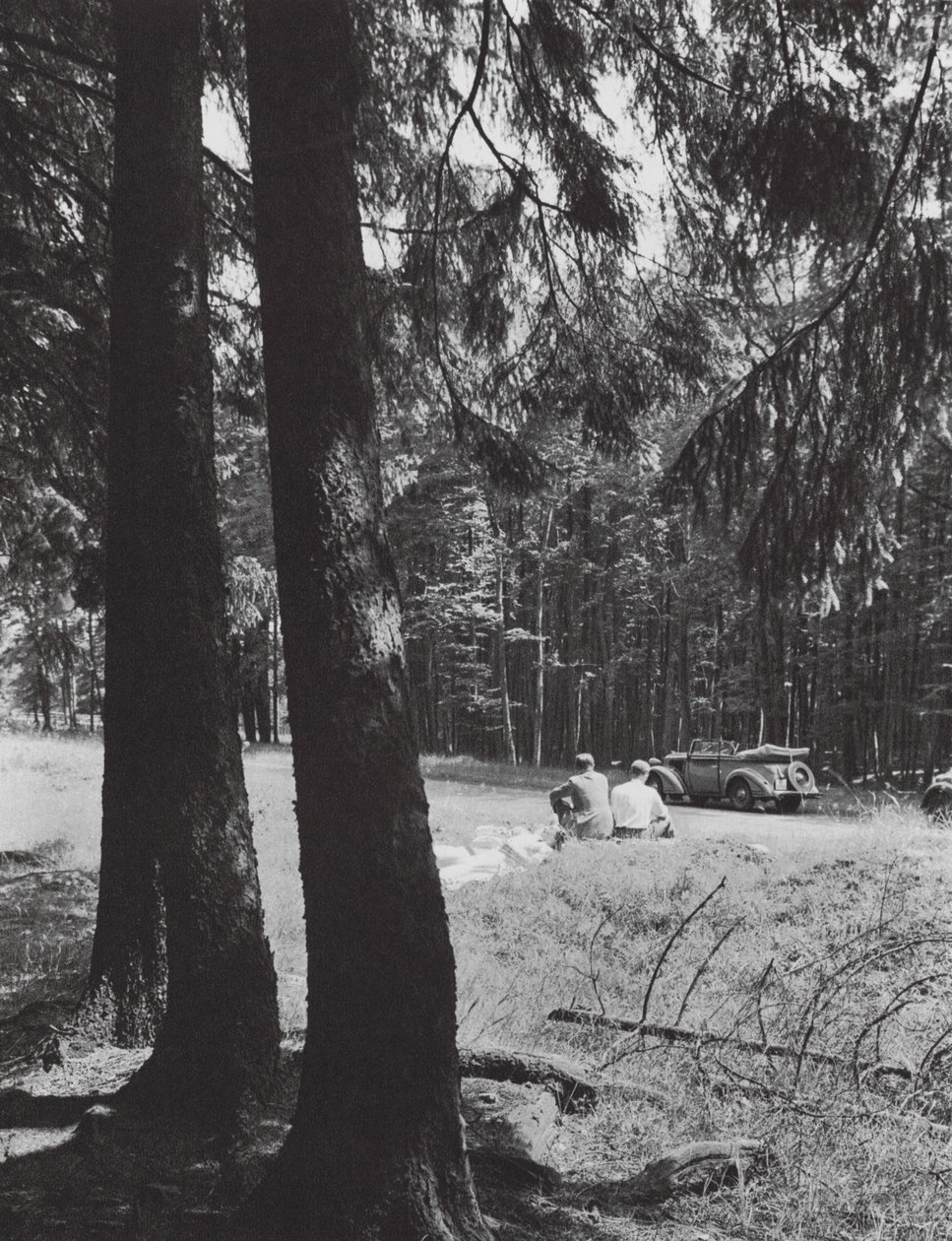 A Rest in a Forest, Bavaria by Paul Wolff