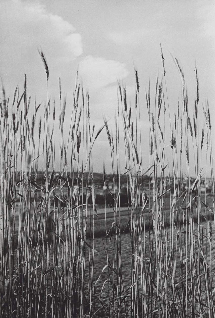 In the Bavarian Countryside by Paul Wolff