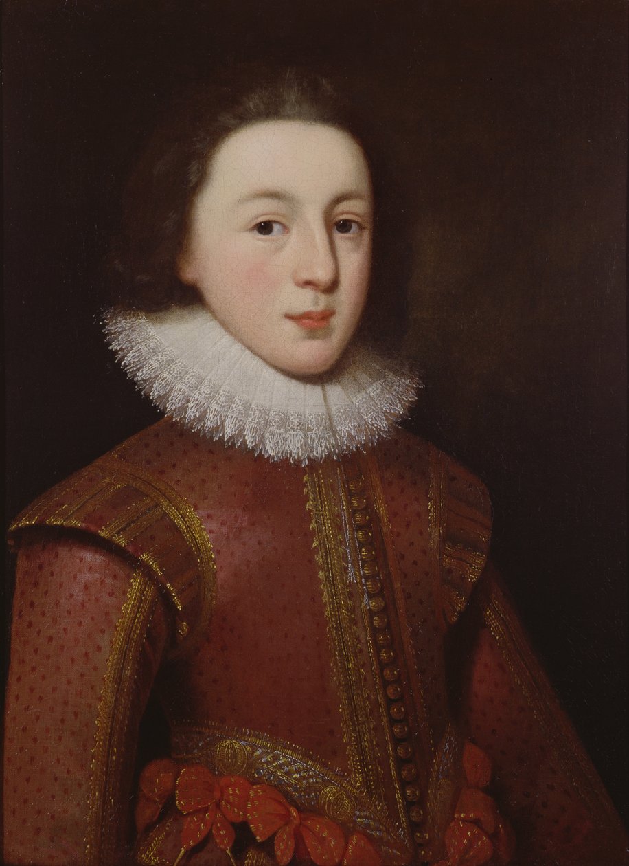 Portrait of Henry, Prince of Wales by Paul van Somer