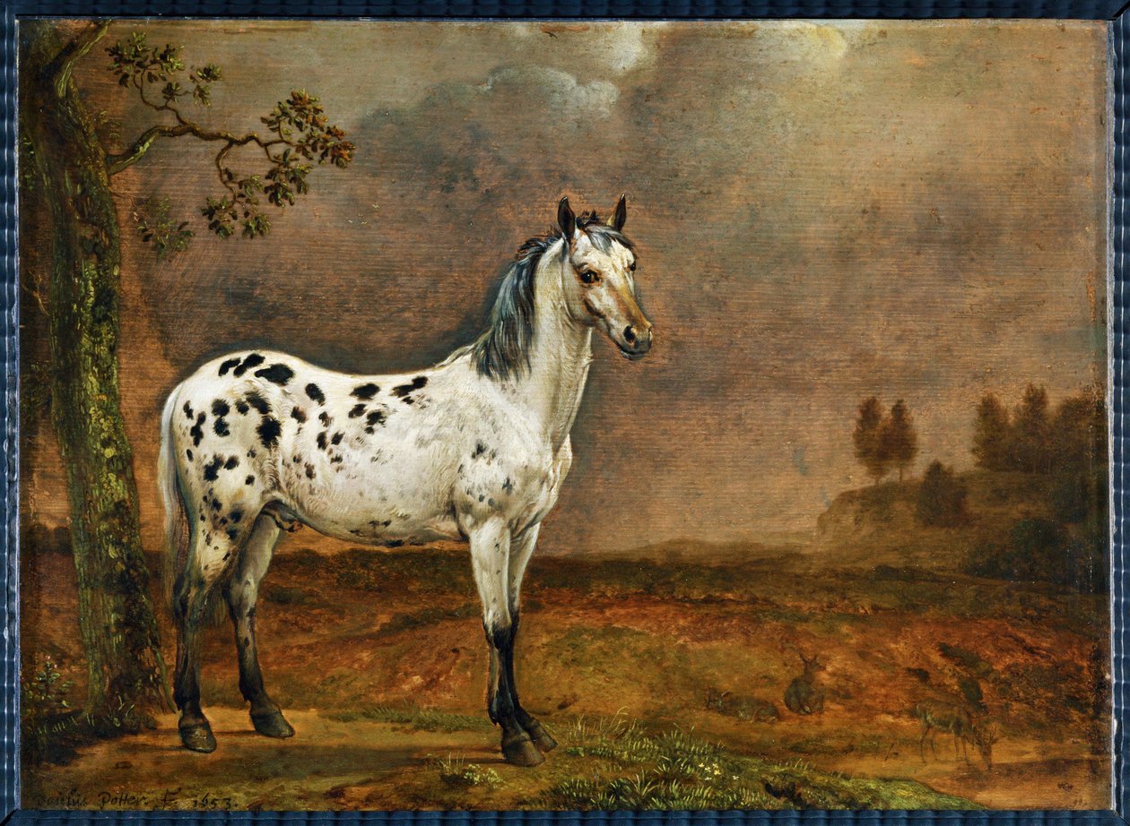 The Dappled Horse by Paulus (attr.to) Potter