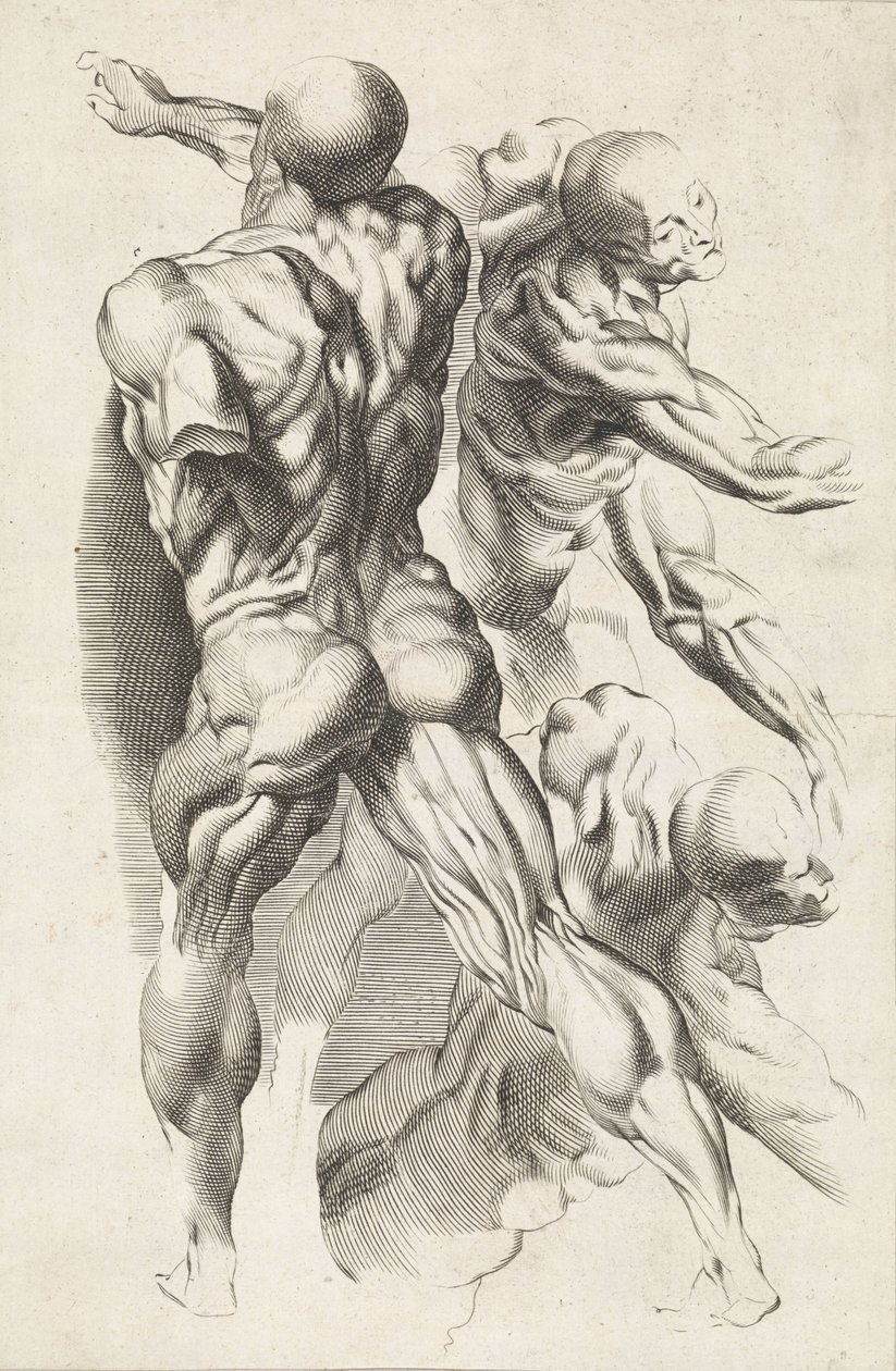 Anatomical Study of Three Figures with Outstretched Arms by Paulus Pontius
