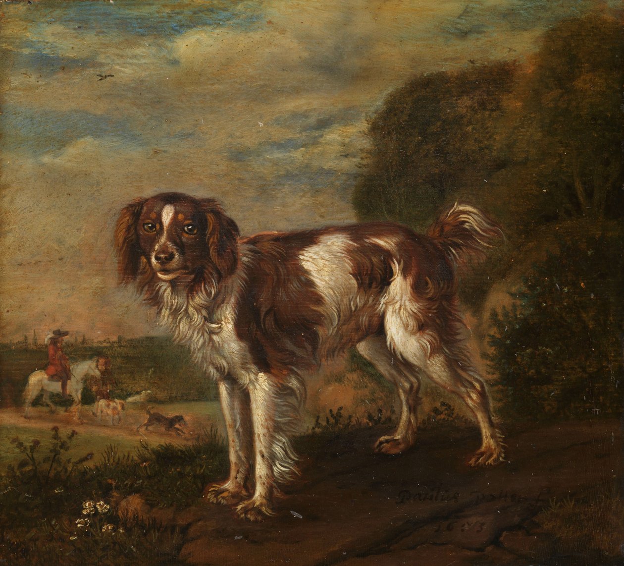 A Spaniel by Paulus Potter