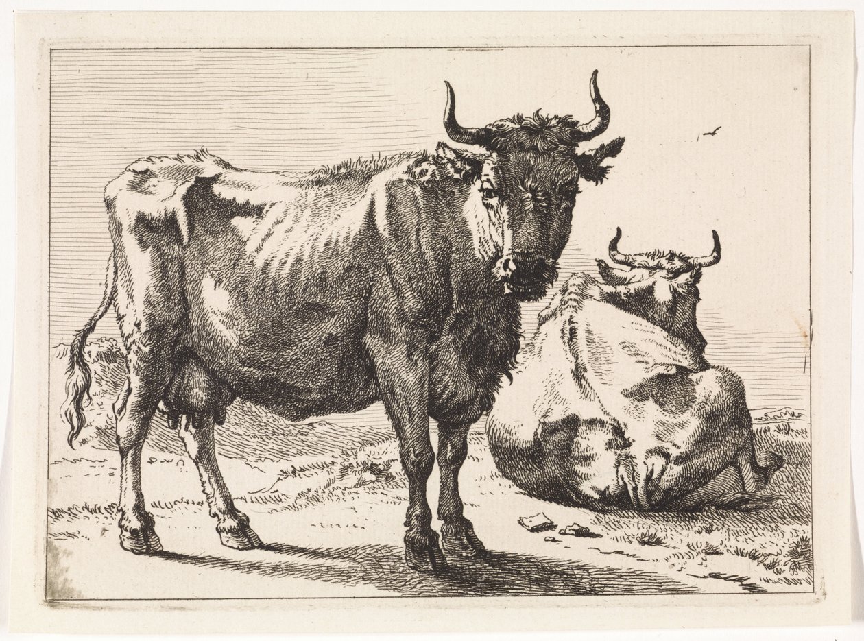 A Standing and a Lying Cow (The Bull Booklet) by Paulus Potter
