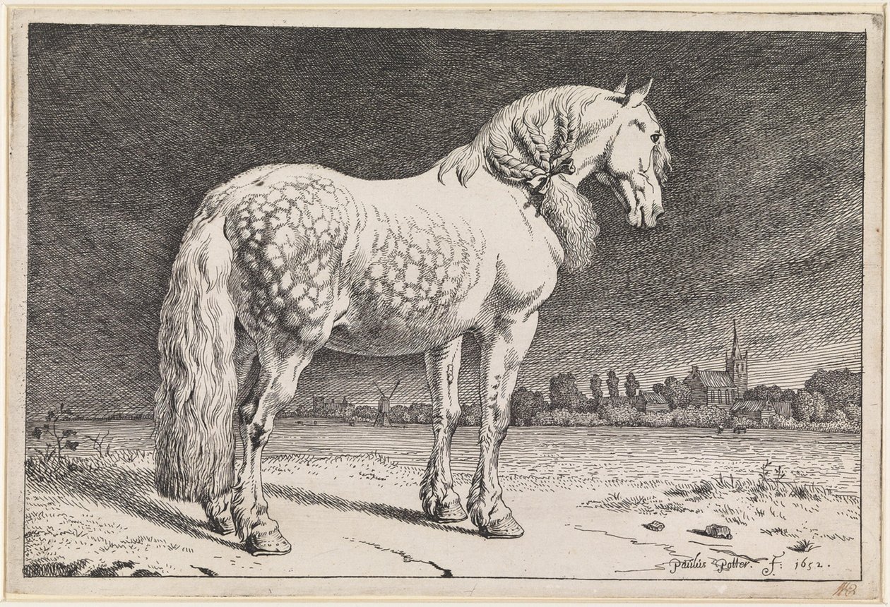 The Frisian Horse by Paulus Potter