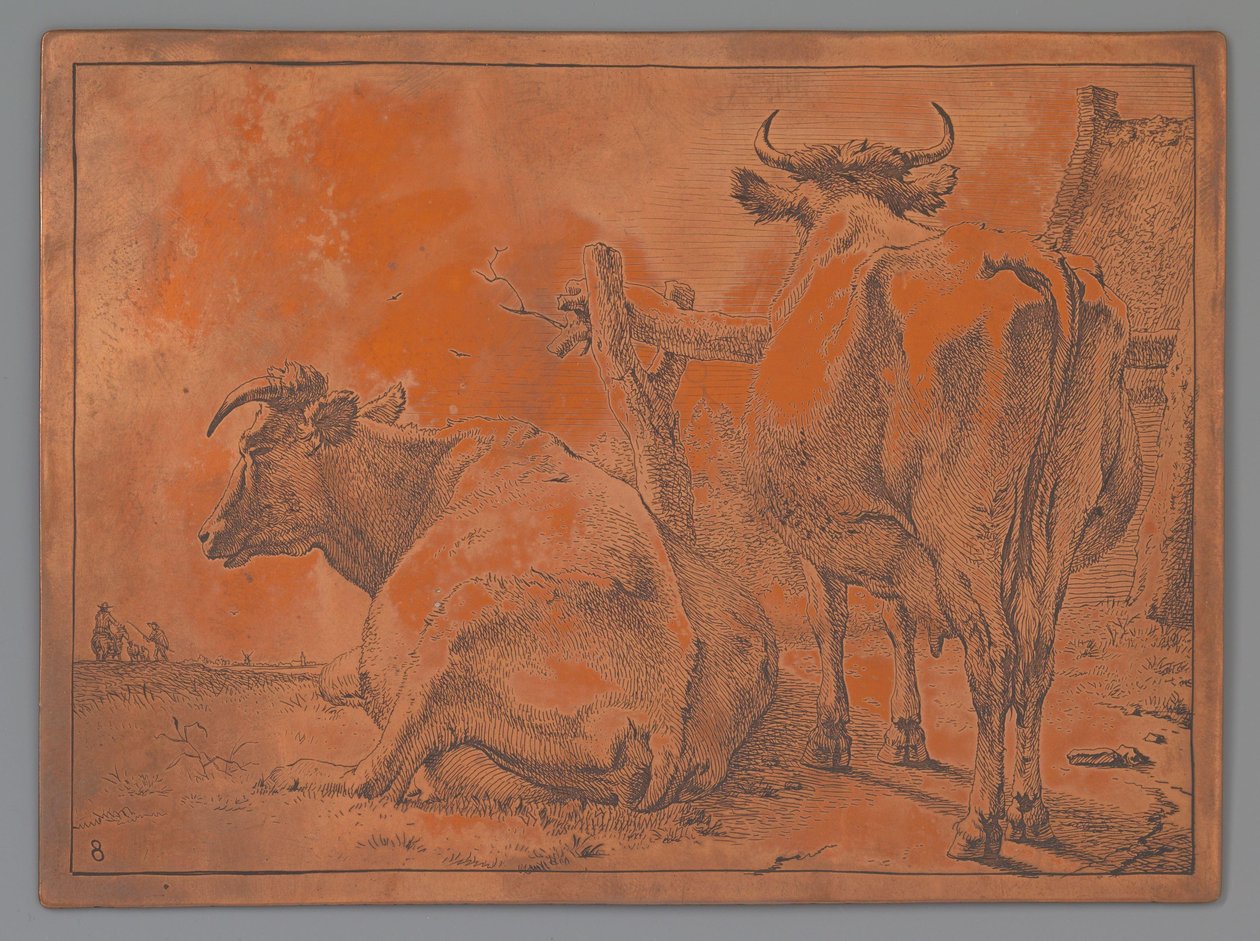 Standing and Lying Cow, Seen from Behind by Paulus Potter