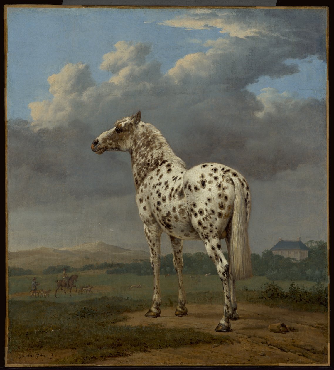 The "Piebald" Horse, c.1650-1654 by Paulus Potter