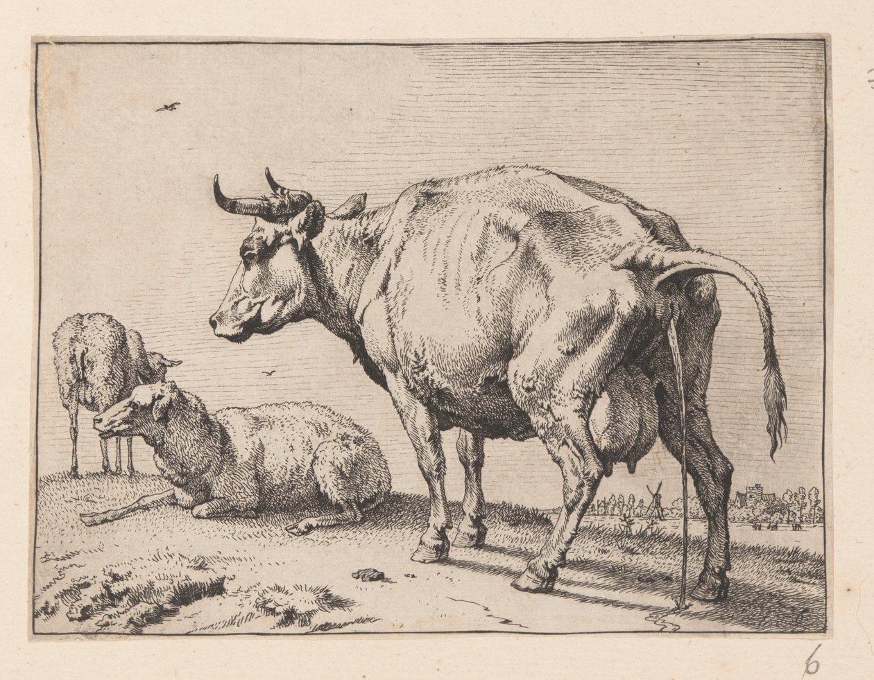 The Pissing Cow, from Various Oxen and Cows by Paulus Potter