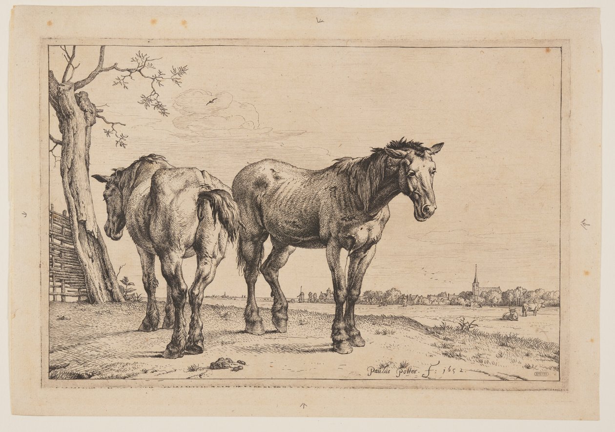 The Plough Horse, from Series of Horses by Paulus Potter