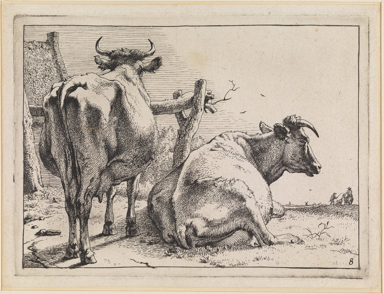 Two Cows Seen from Behind by Paulus Potter