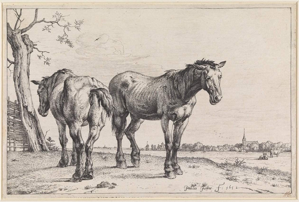 Two Plough Horses by Paulus Potter