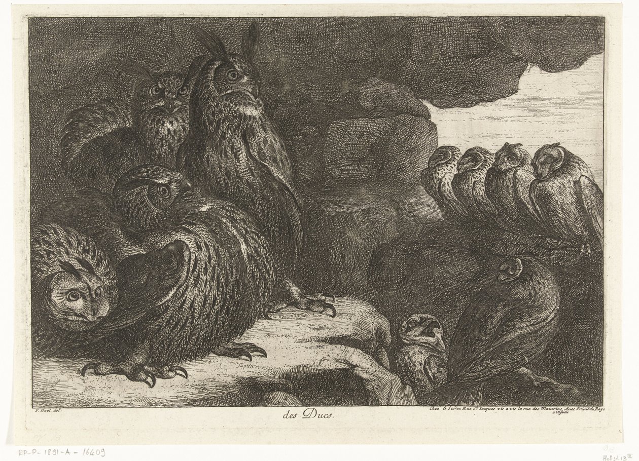 Owls in a Cave by Peeter Boel (attributed to)